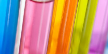 Twelve Toxic Chemicals